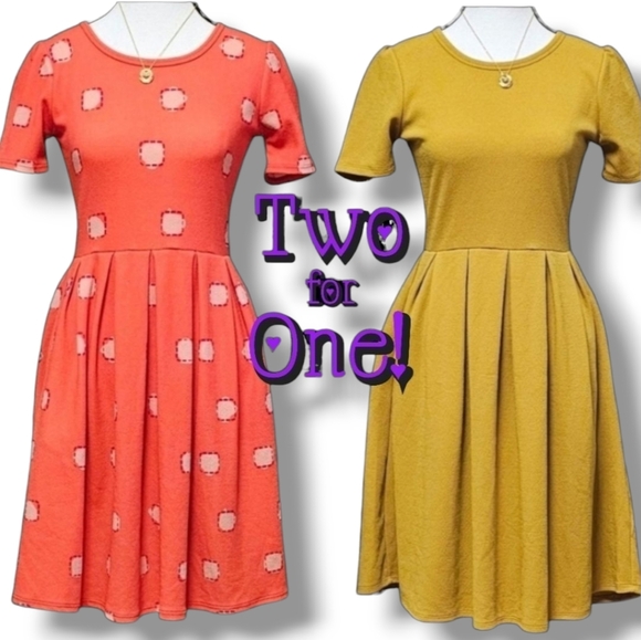 LuLaRoe | TWO for ONE | AMELIA KNIT BACK ZIP FLAIR DRESS - Picture 1 of 15